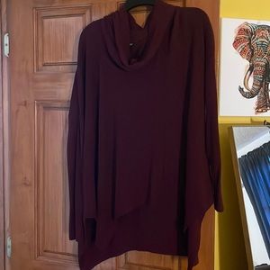 express maroon turtleneck sweater